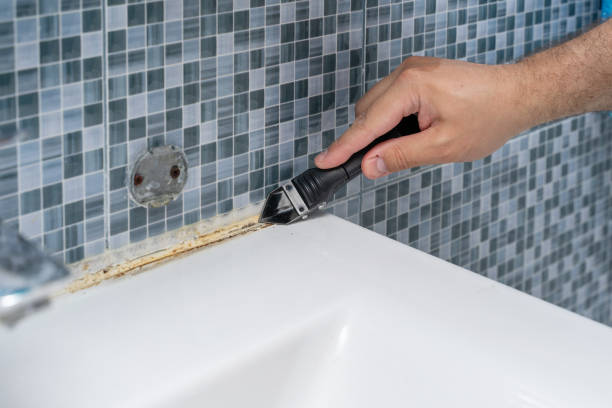 Professional Mold Removal in Vaiden, MS