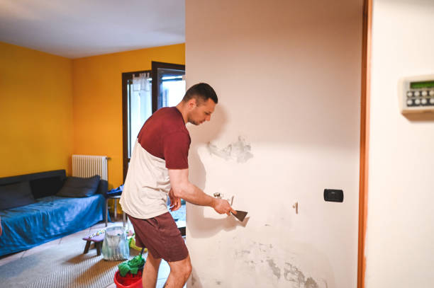 Best Affordable Mold Removal  in Vaiden, MS